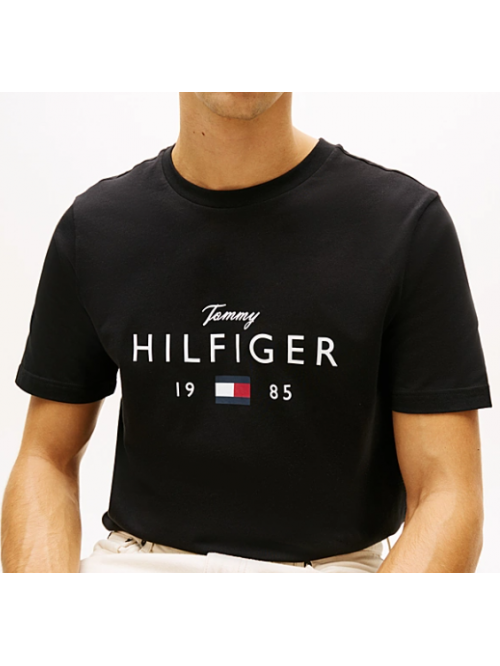 Tommy Hilfiger T-shirt Con Logo Mod.MW0MW41455/BDS-DW5