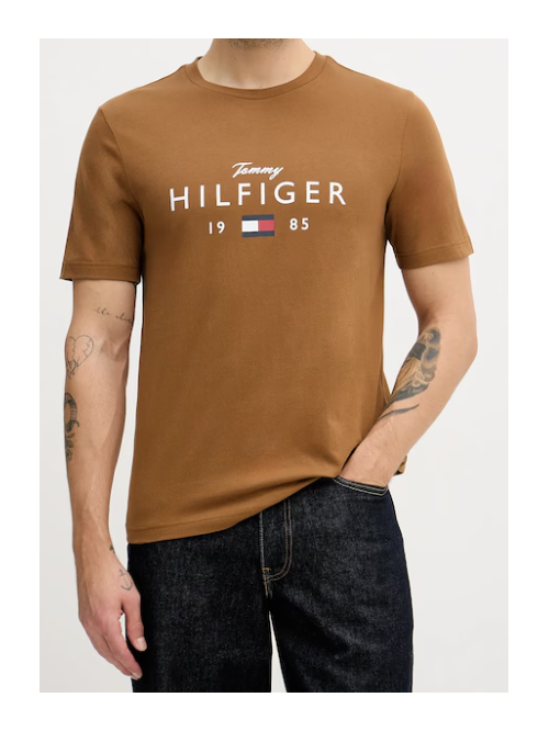 Tommy Hilfiger T-shirt Con Logo Mod.MW0MW41455/GWP